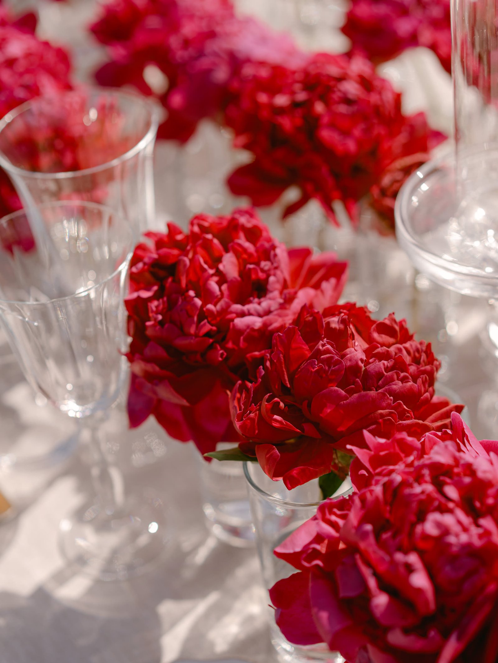 A Riviera Fairytale: Alexa and Wilton's Extravagant St-Tropez Wedding — Chromata Films